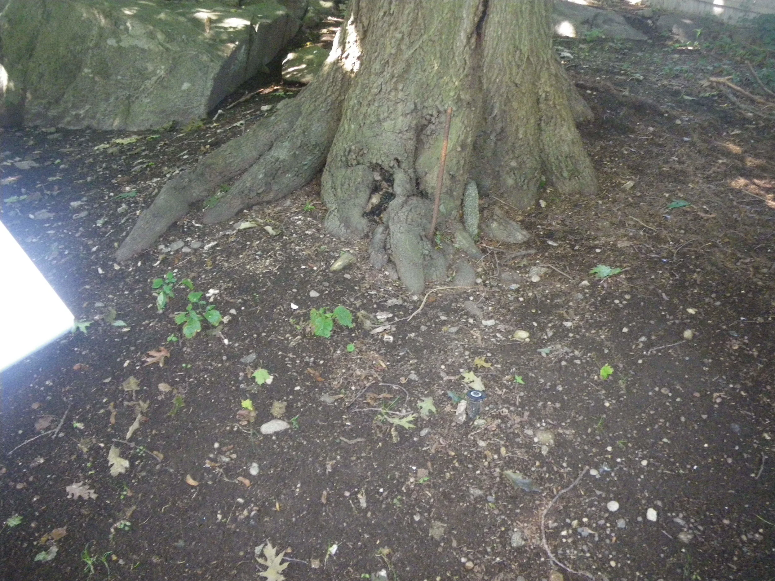 Grounds 20.JPG