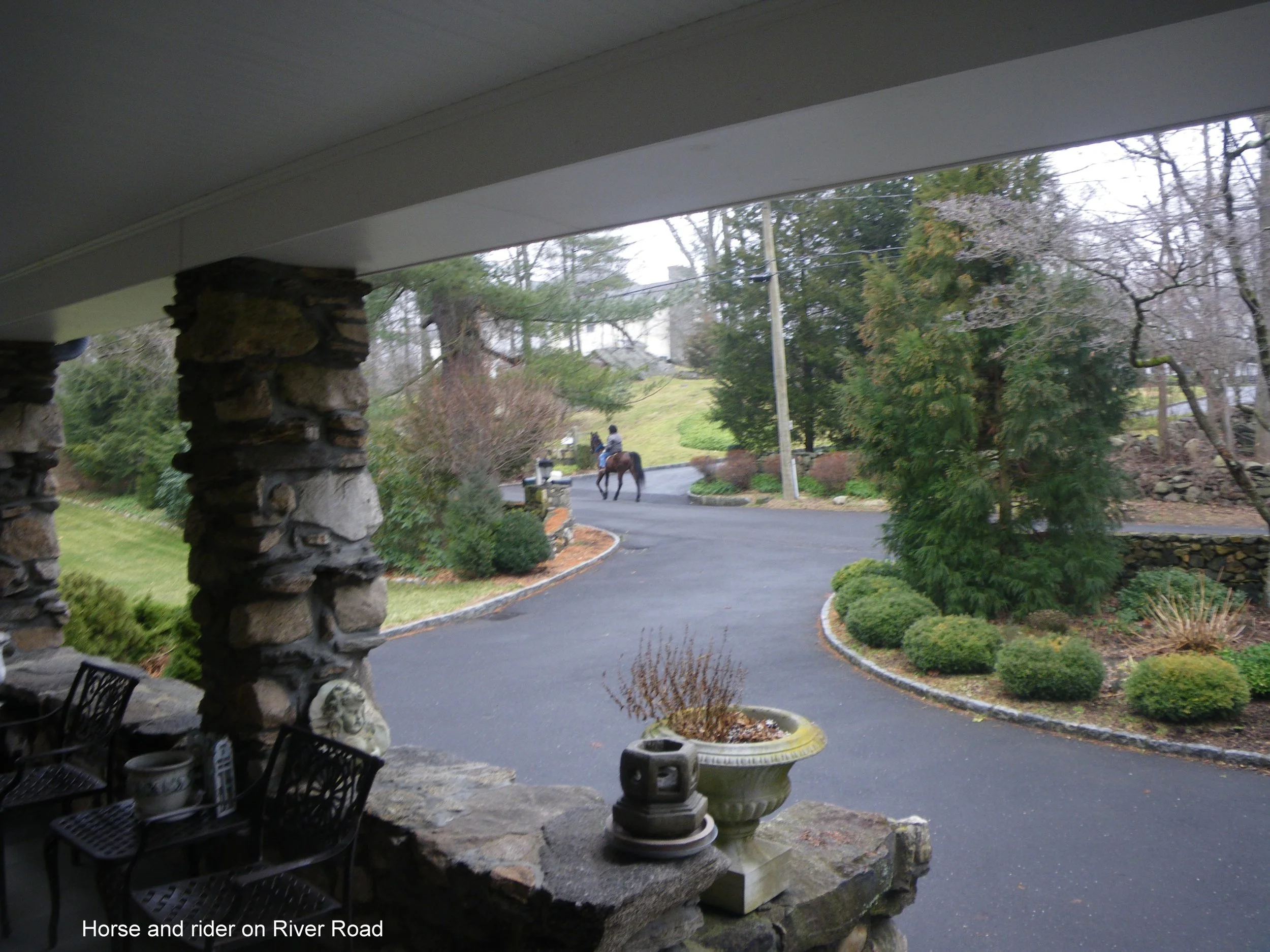 Horse on River Road 1.JPG