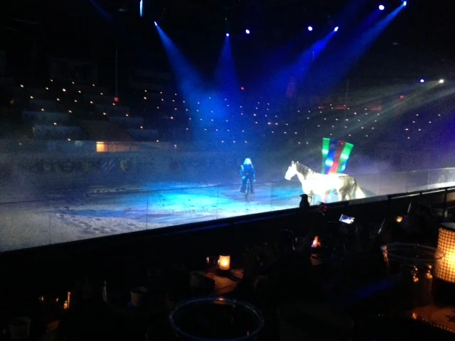 Medievil Times 3.JPG