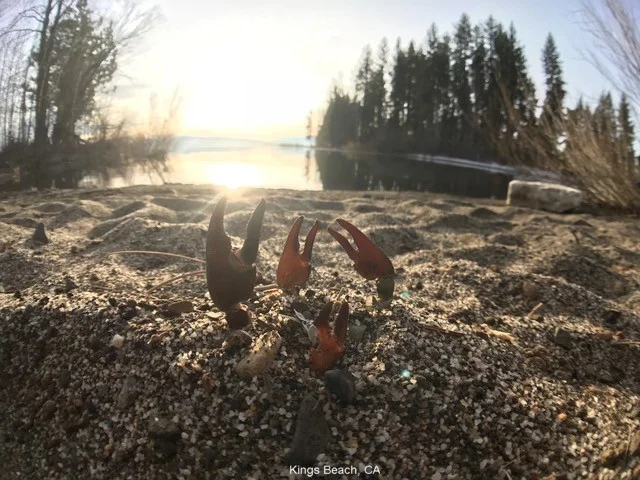 K&B Depart 11 Kings Beach, CA.jpeg