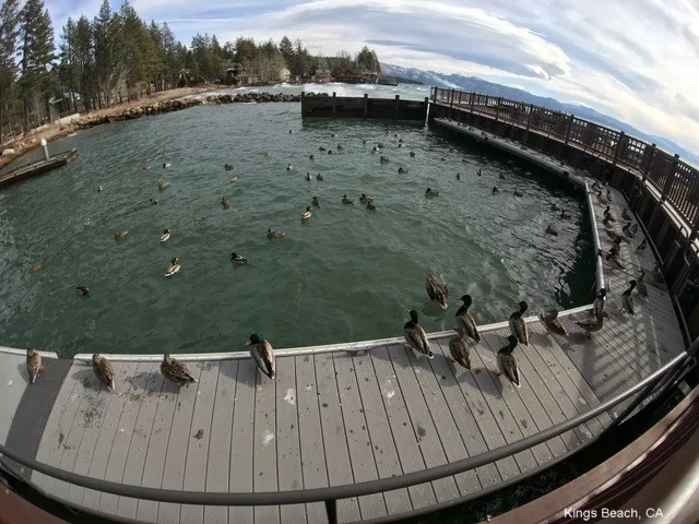 K&B Depart 12 Kings Beach, CA.jpeg