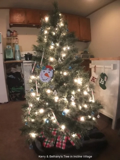 Tahoe 1 Tree.jpg