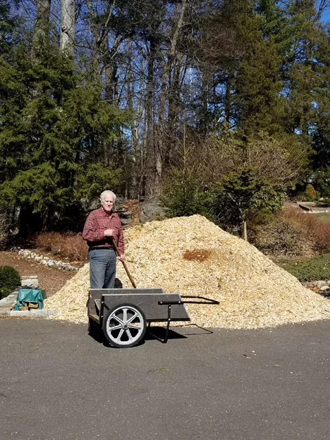 Chips 1.jpg