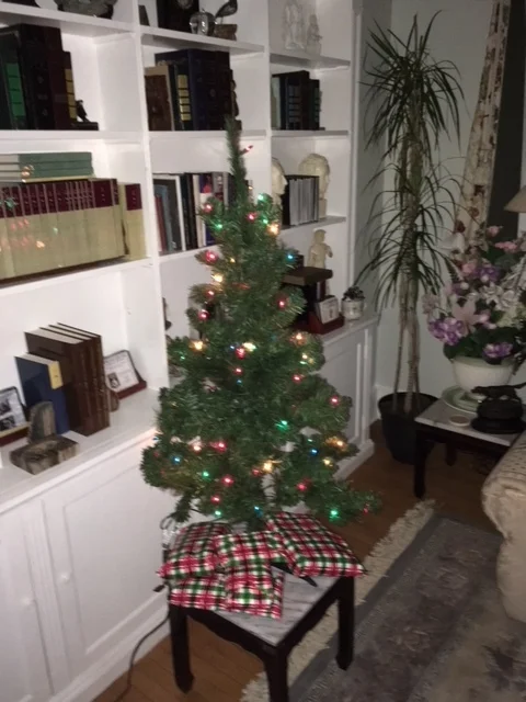 Downsized Tree 2.JPG