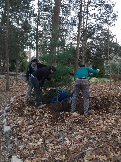 Gardening 4.JPG