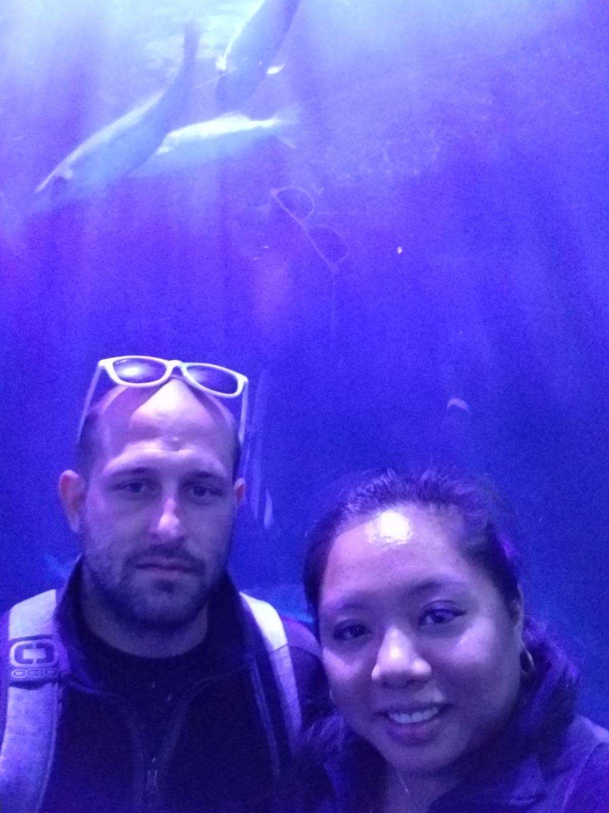 Aquarium 2.jpg