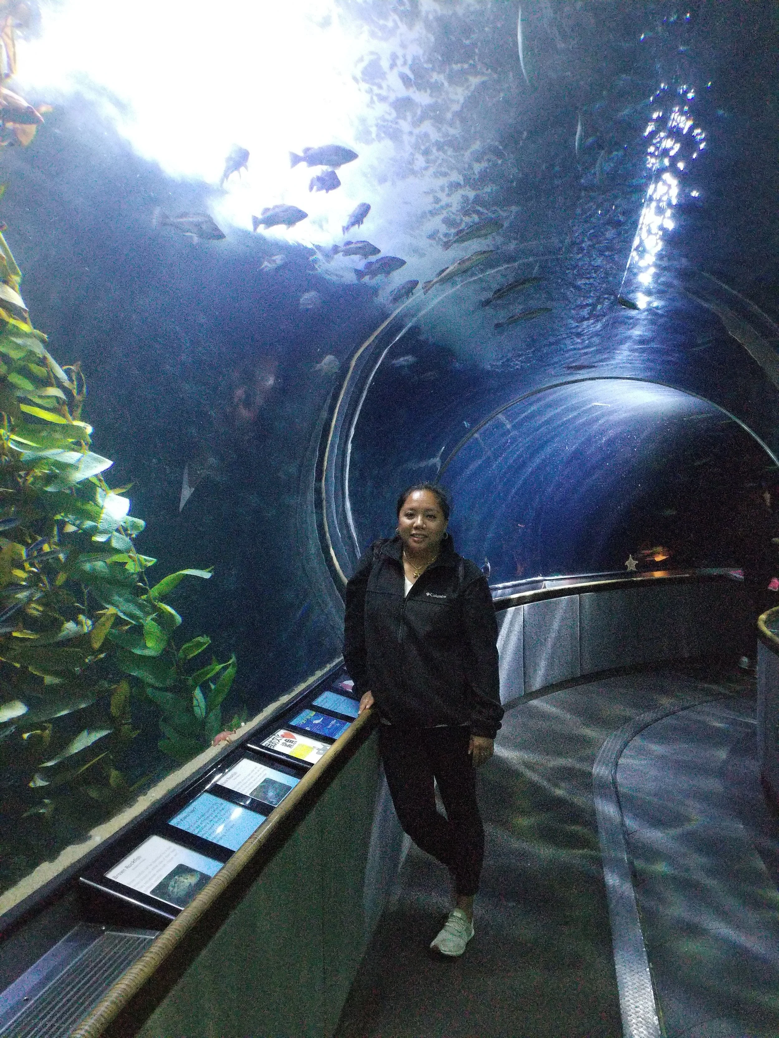 Aquarium 1.jpg