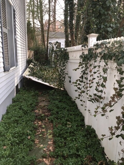 Fence 1.JPG