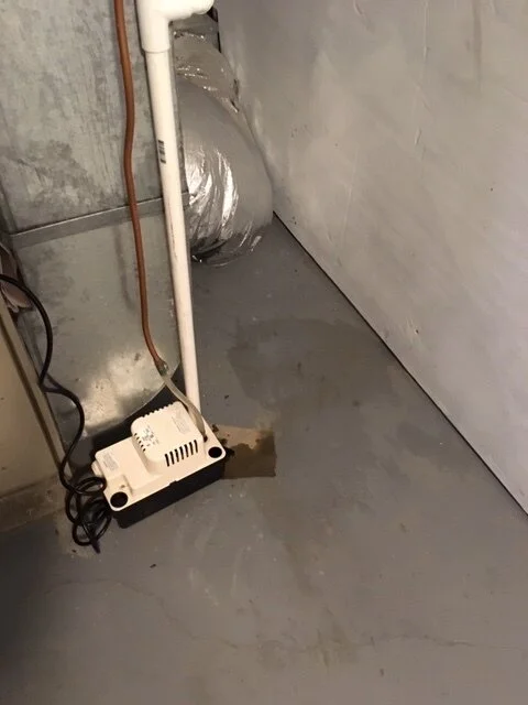 Rug 1 (Condensation Pump).JPG