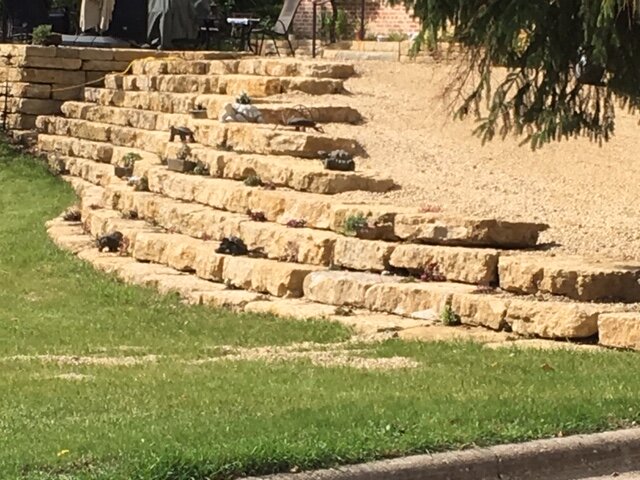 9-16 St Joe Embankment.JPG