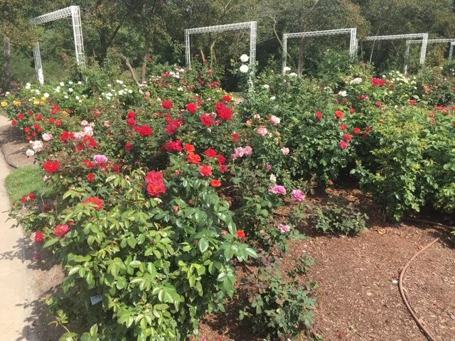 9-18 27 Lauritzer's Gardens.JPG