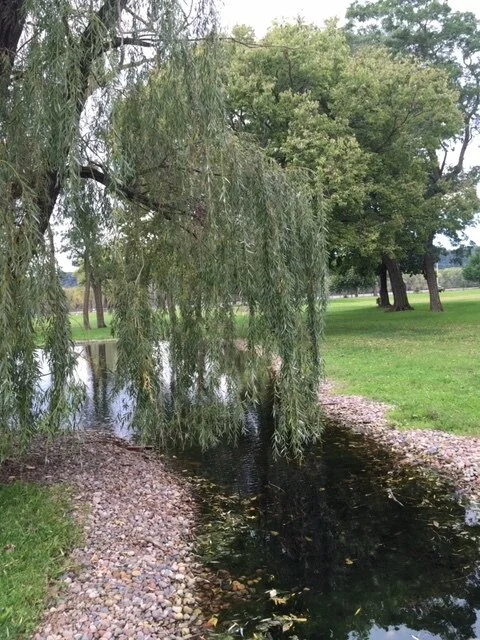 9-25 16 Villa Louis.JPG