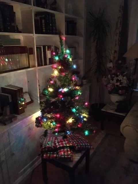 Christmas  Downsized Tree.JPG