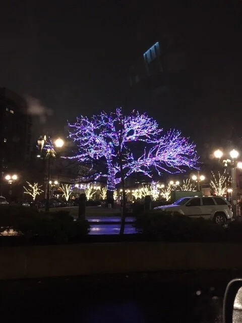Christmas Stamford.JPG