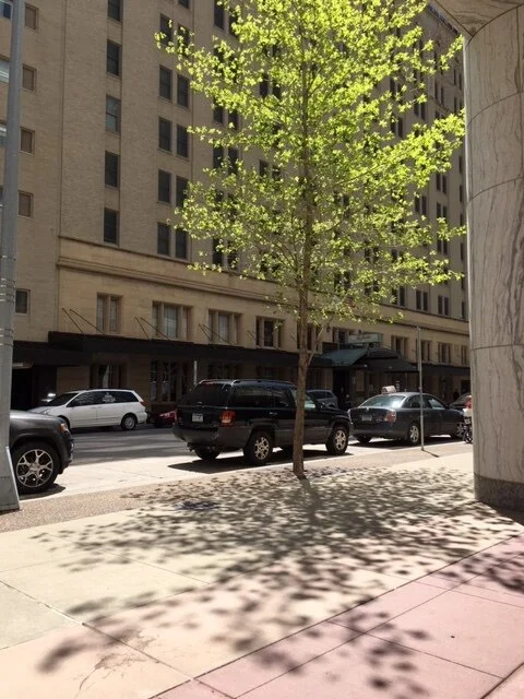 Mayo Clinic 11.JPG