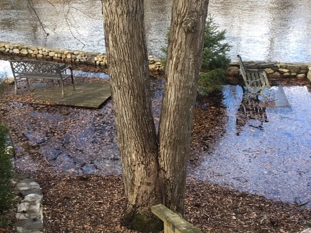 Flood 3.JPG