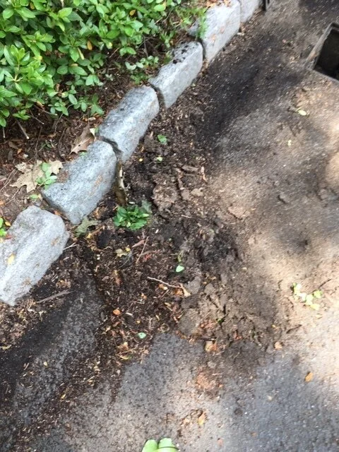 Drain 1.JPG