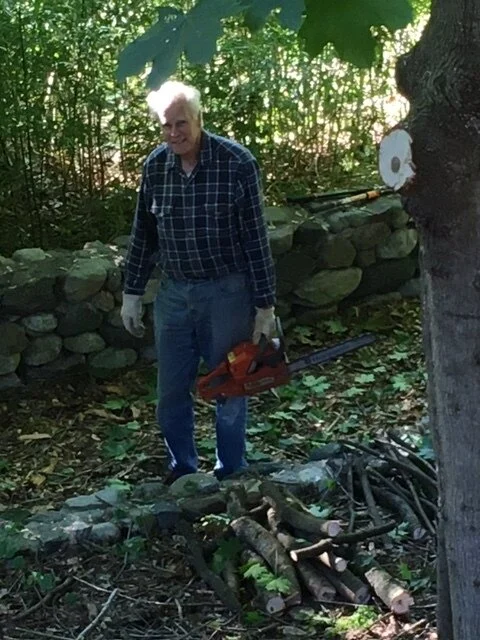 Tree Cuttng 4.JPG