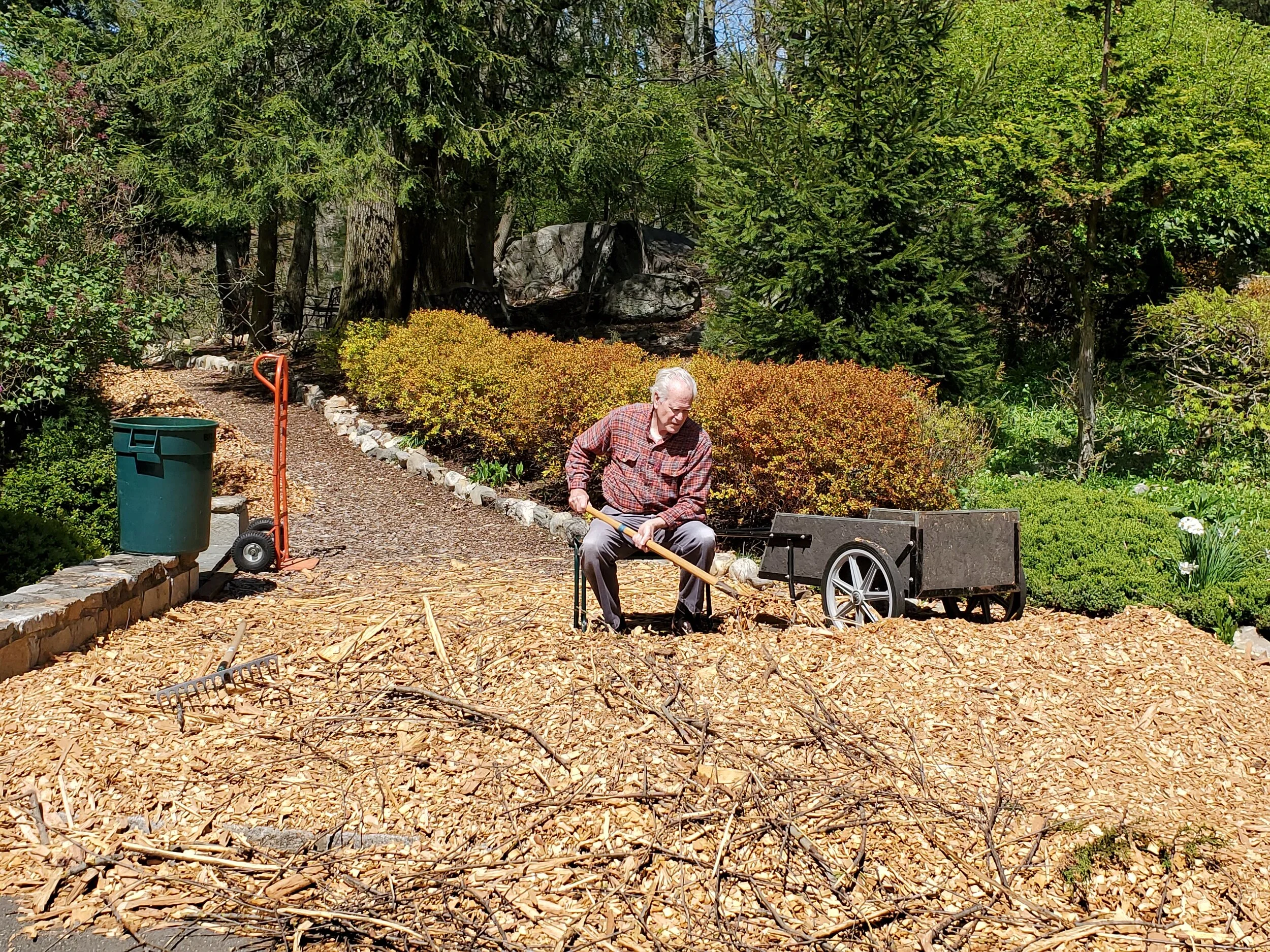 Wood Chips 1.jpg