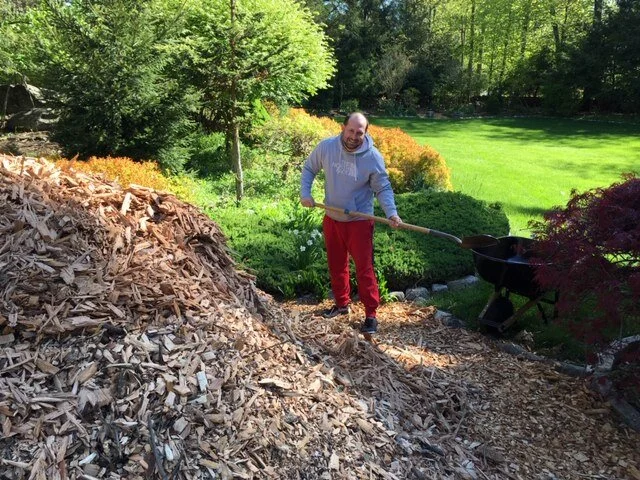 Wood Chips 3.JPG