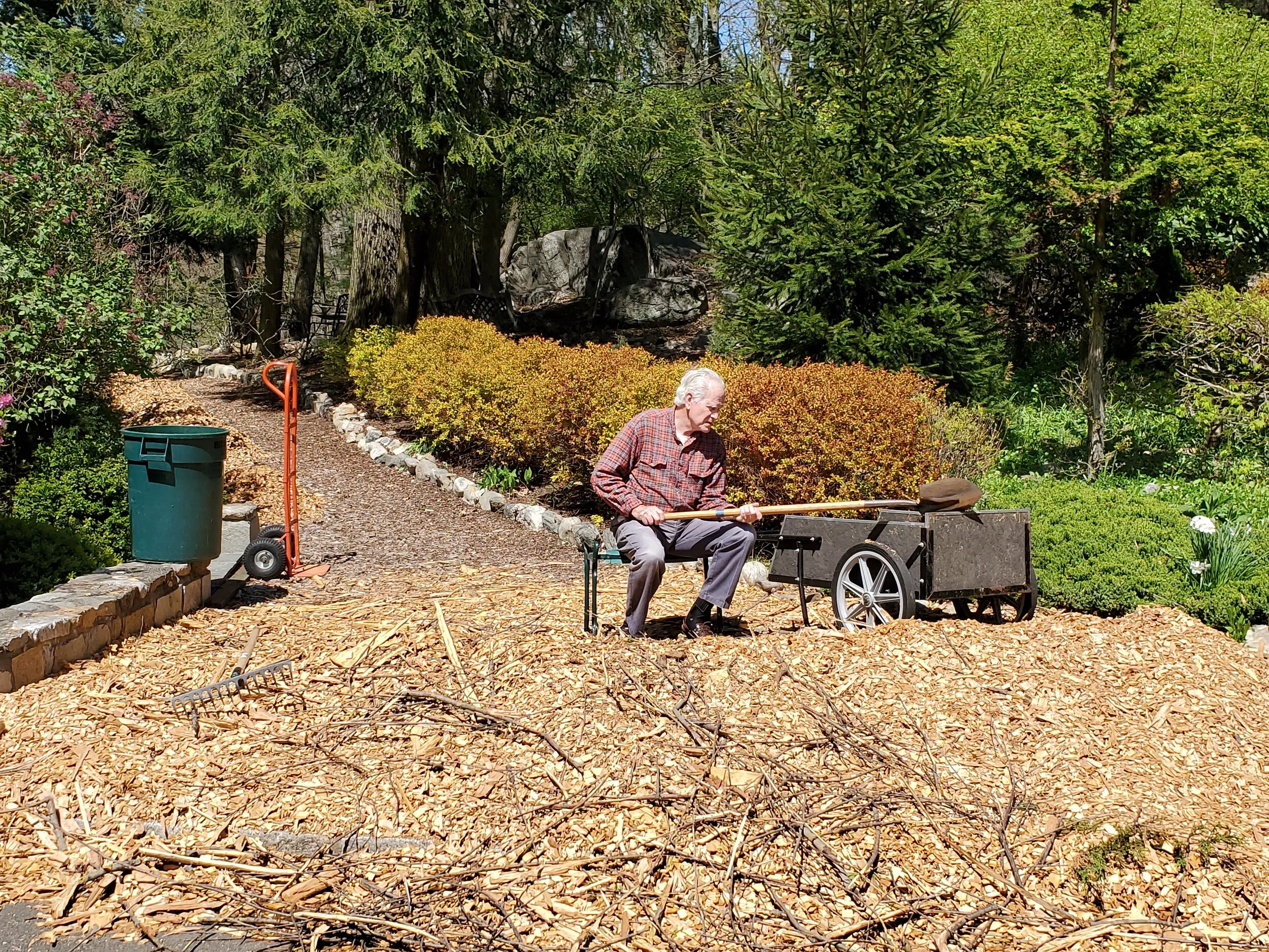 Wood Chips 2.jpg