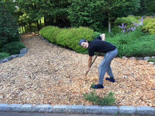 Wood Chips 5.JPG