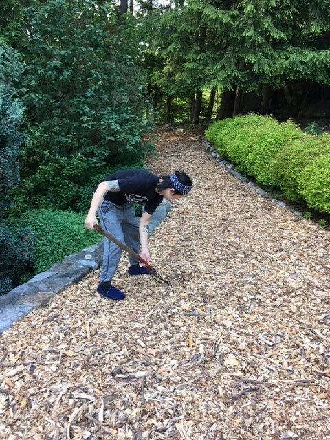 Wood Chips 6.JPG