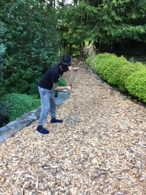 Wood Chips 7.JPG