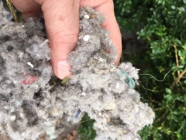 Dryer Vent Clean.JPG