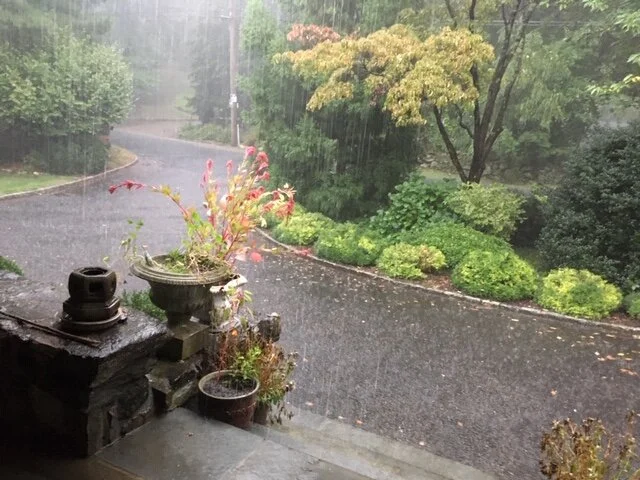 Heavy Rain 1.JPG