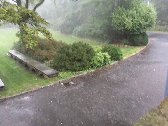 Heavy Rain 3.JPG