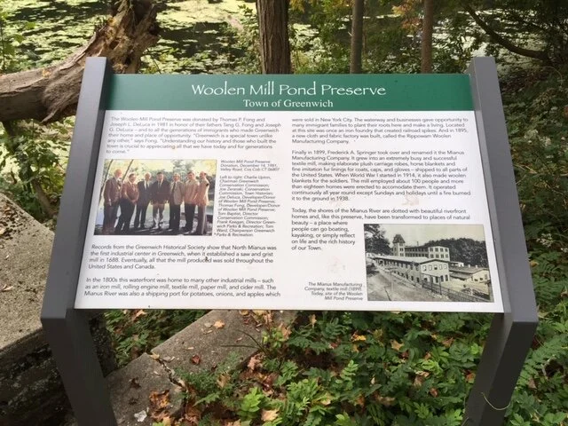 Fallen Trees at Wollen Mill Pond Preserve on Valley Rd.JPG