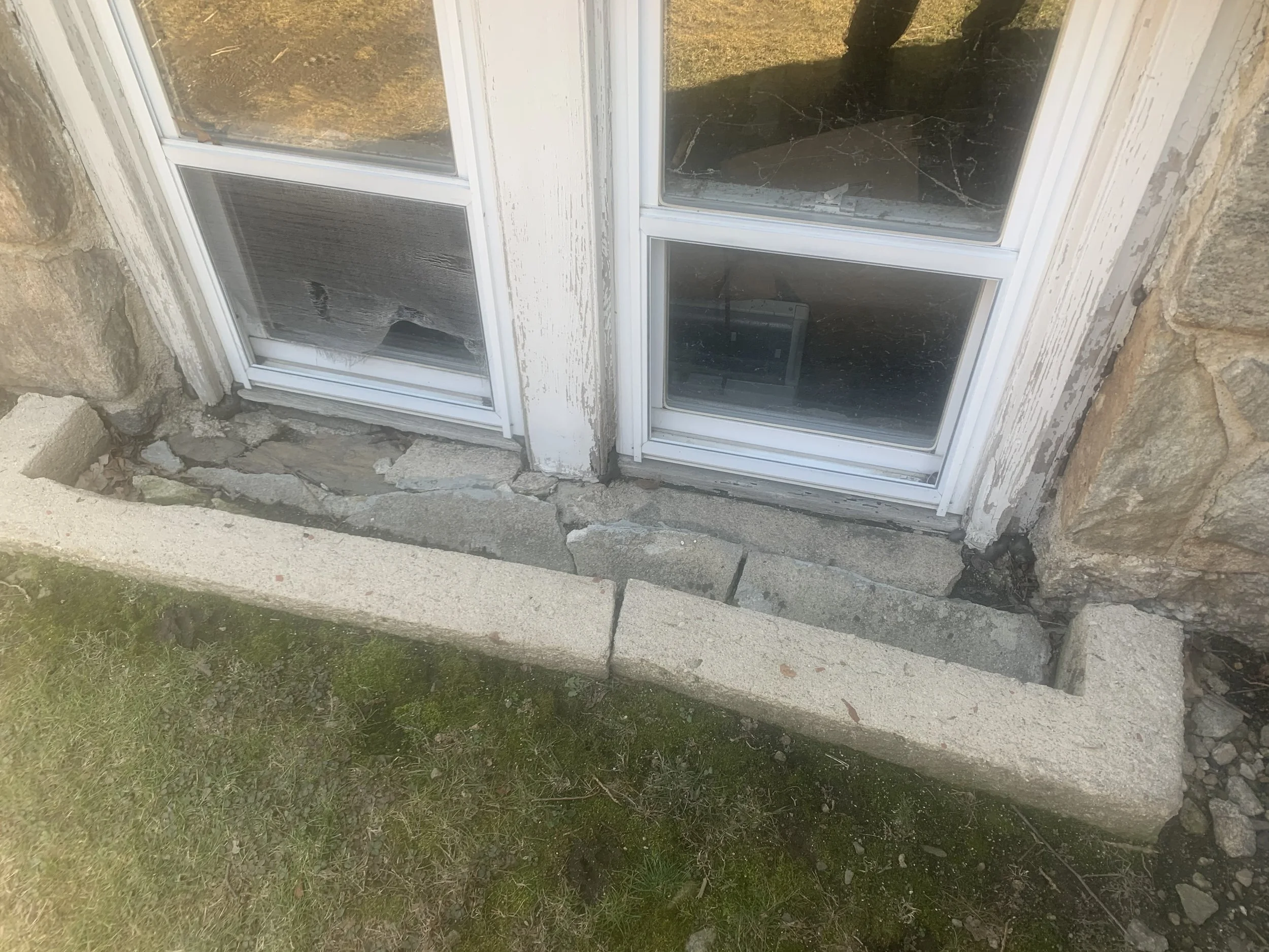 Decay in basement window frame.JPG