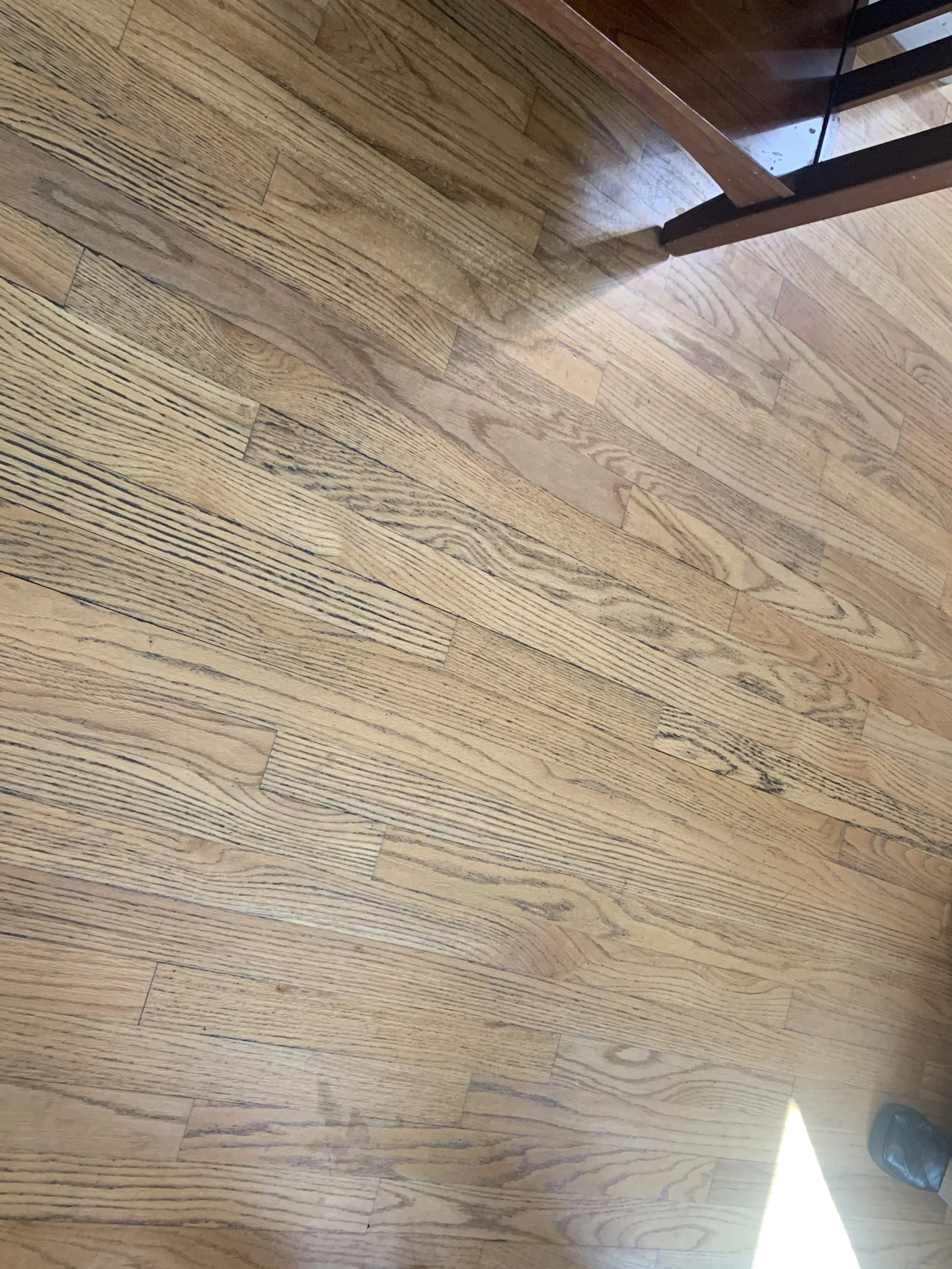 Floor Staining.JPG