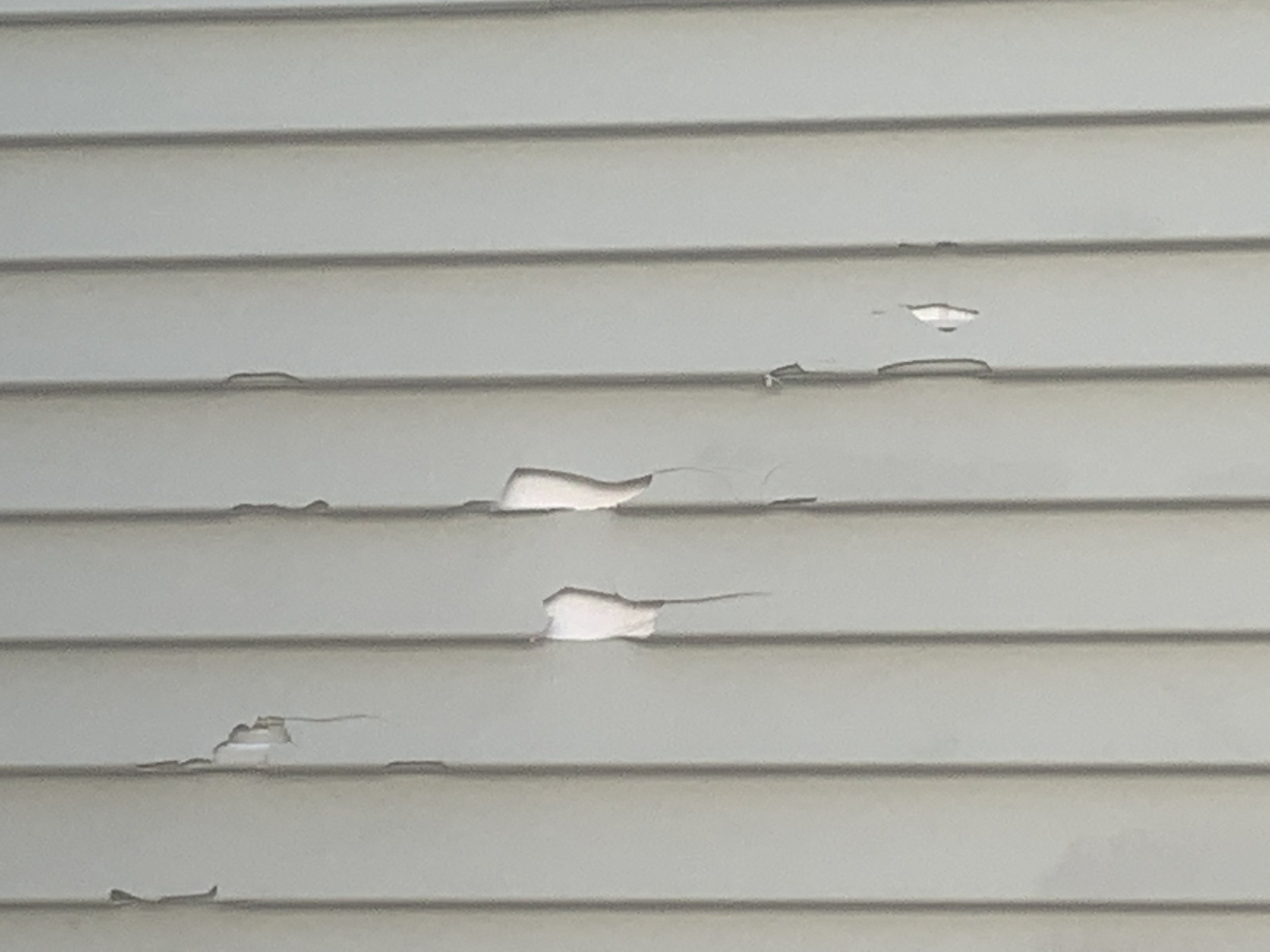 Siding 2.JPG
