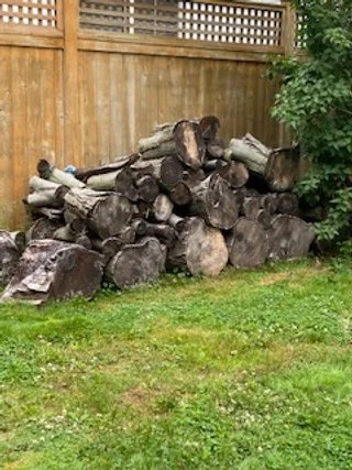Wood IMG_0689.jpg