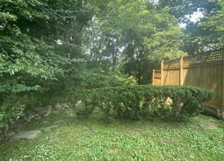 Yard.jpg