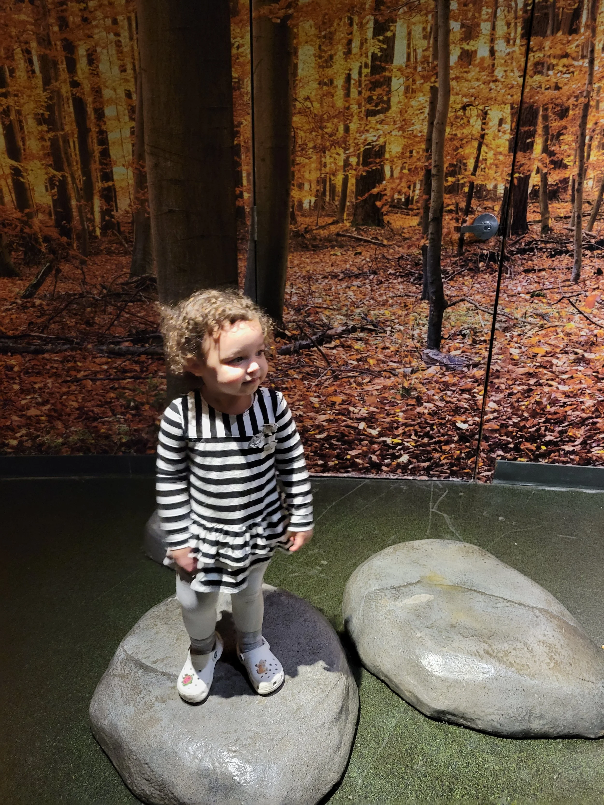 Norwalk Aquarium 2.jpg