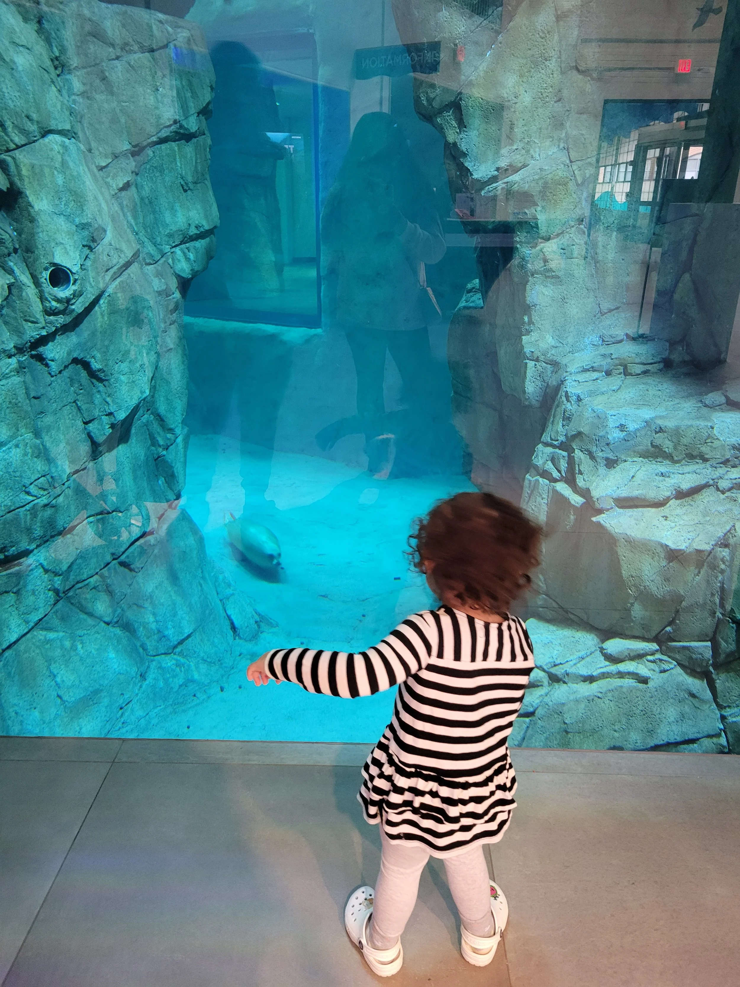 Norwalk Aquarium 1 .jpg