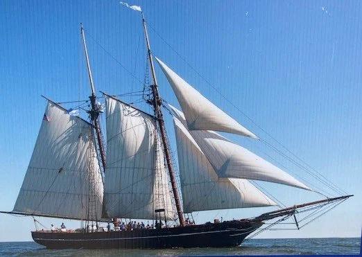 Amistad Stamford 2.jpg