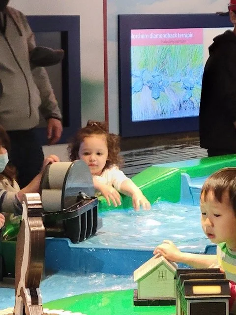 Aquarium Mystic CT 2.jpeg