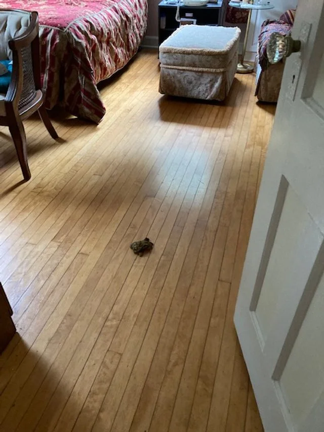 Emma's Deposit.jpg