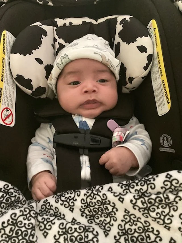 Rylan 32.jpg