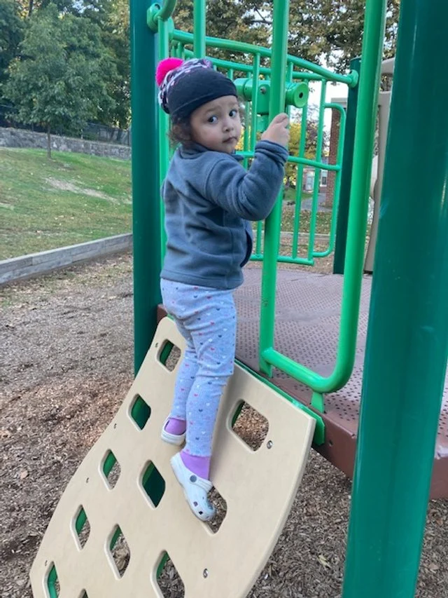 Mianus School Park 3.jpg