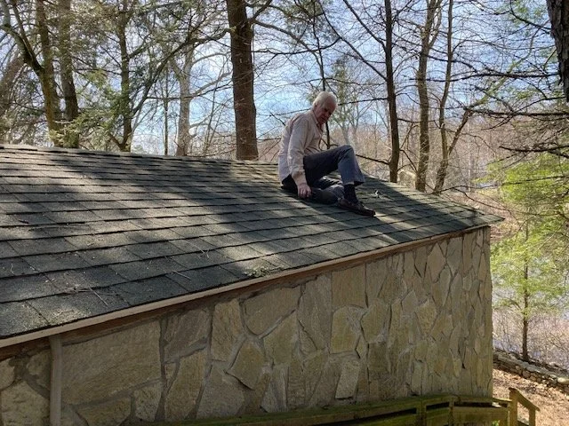 Moss Removal 1.jpg