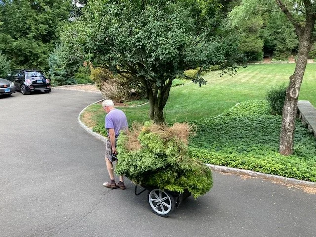 Gardening 12.jpg