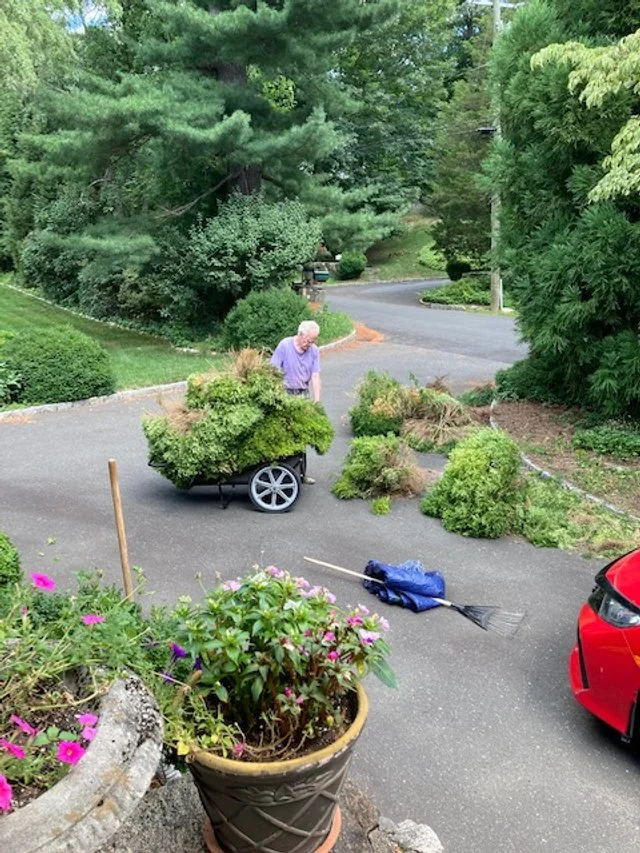 Gardening 10.jpg