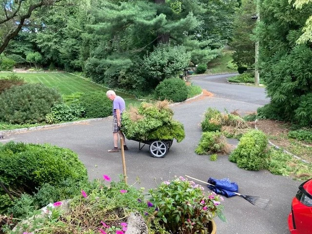 Gardening 11.jpg