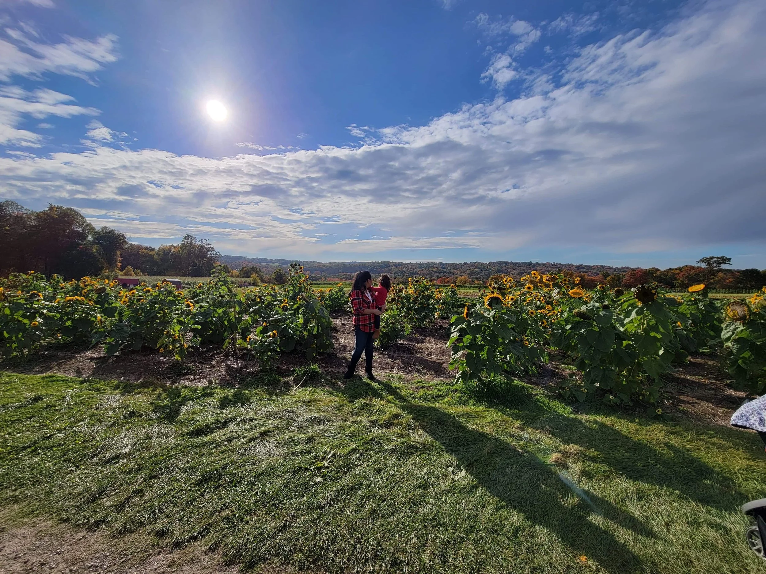 Jone's Farm Shelton 8.jpg