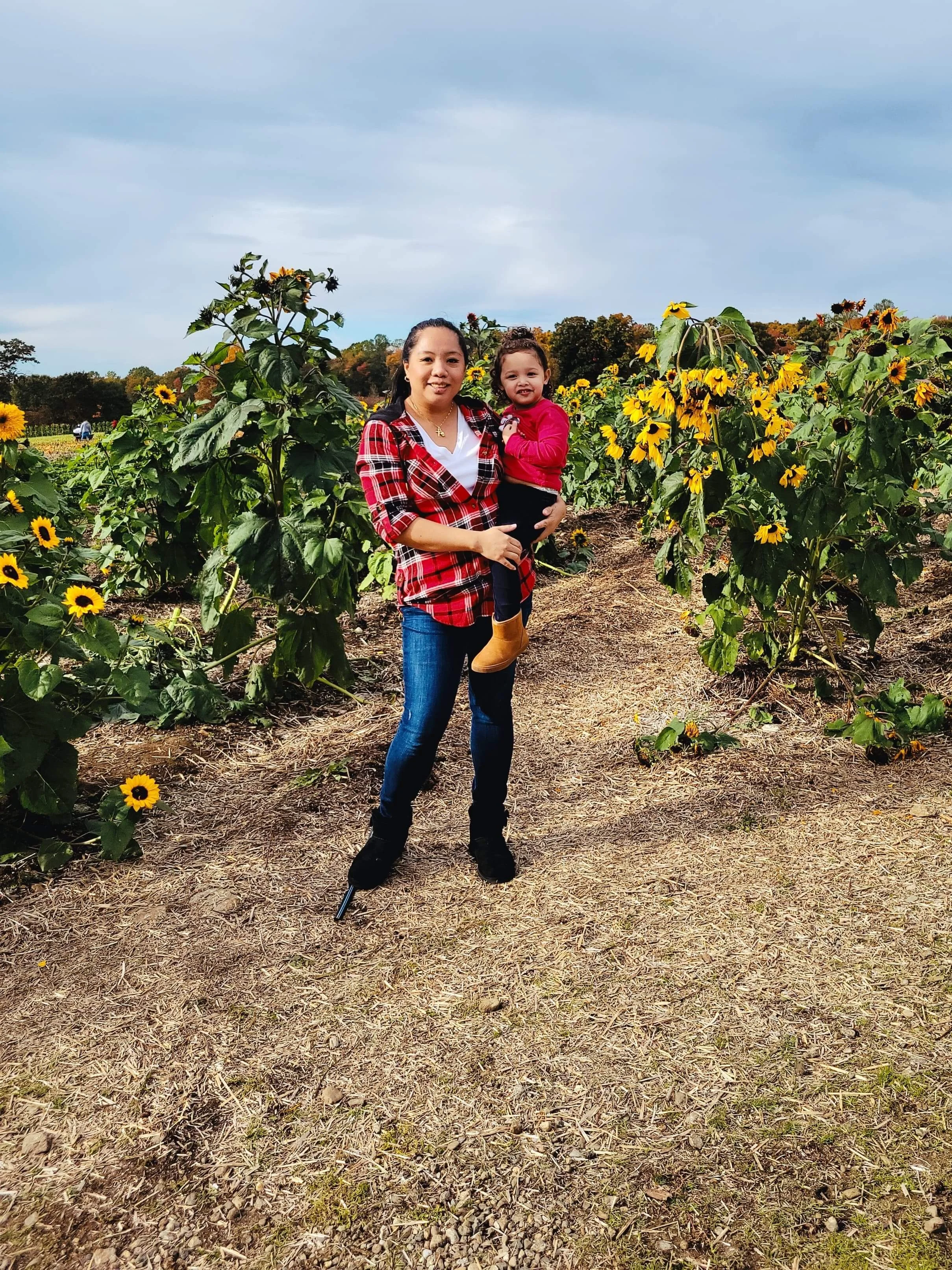 Jone's Farm Shelton 1.jpg